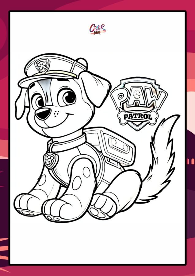 paw patrol coloring book​