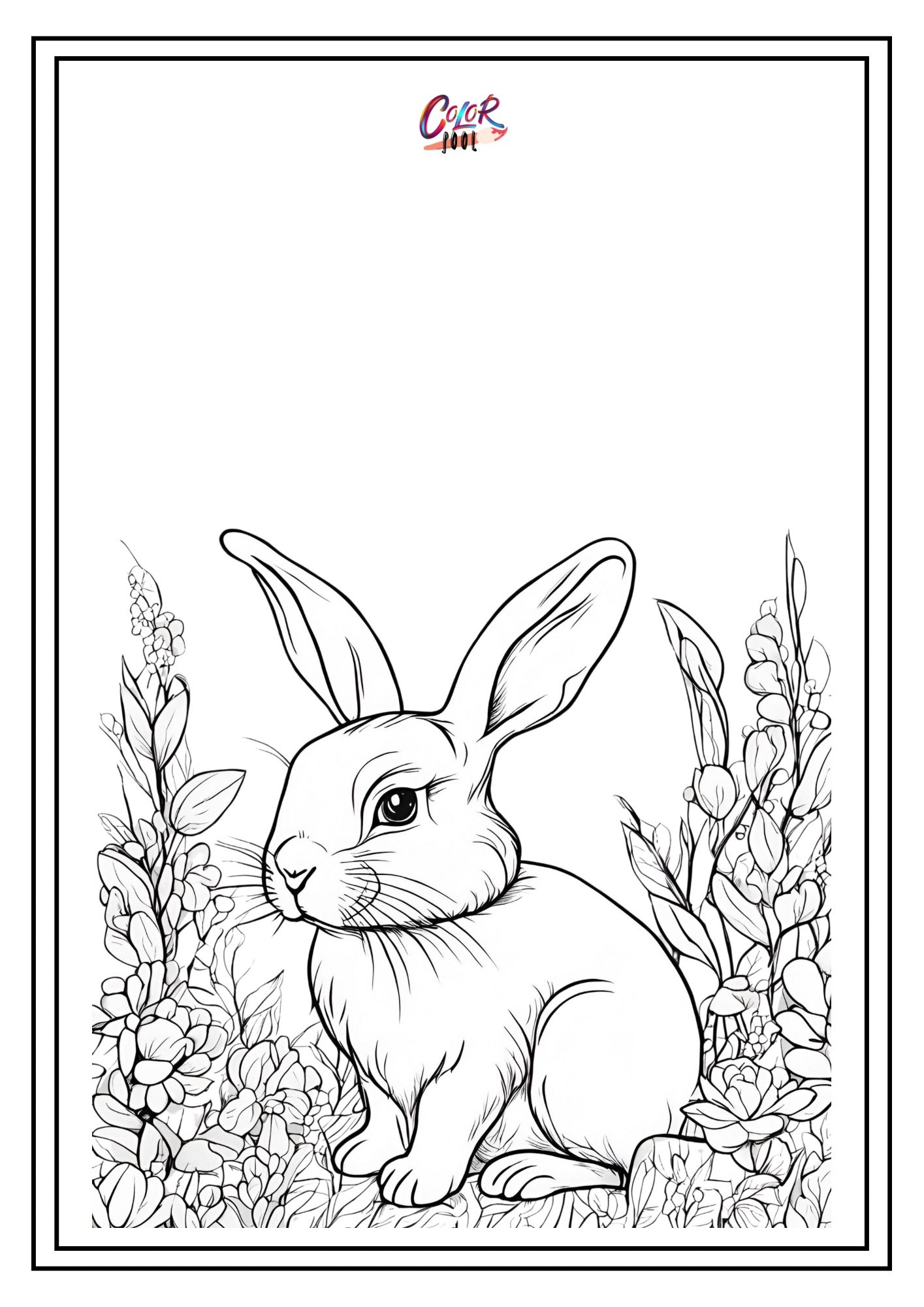 Bunny to color