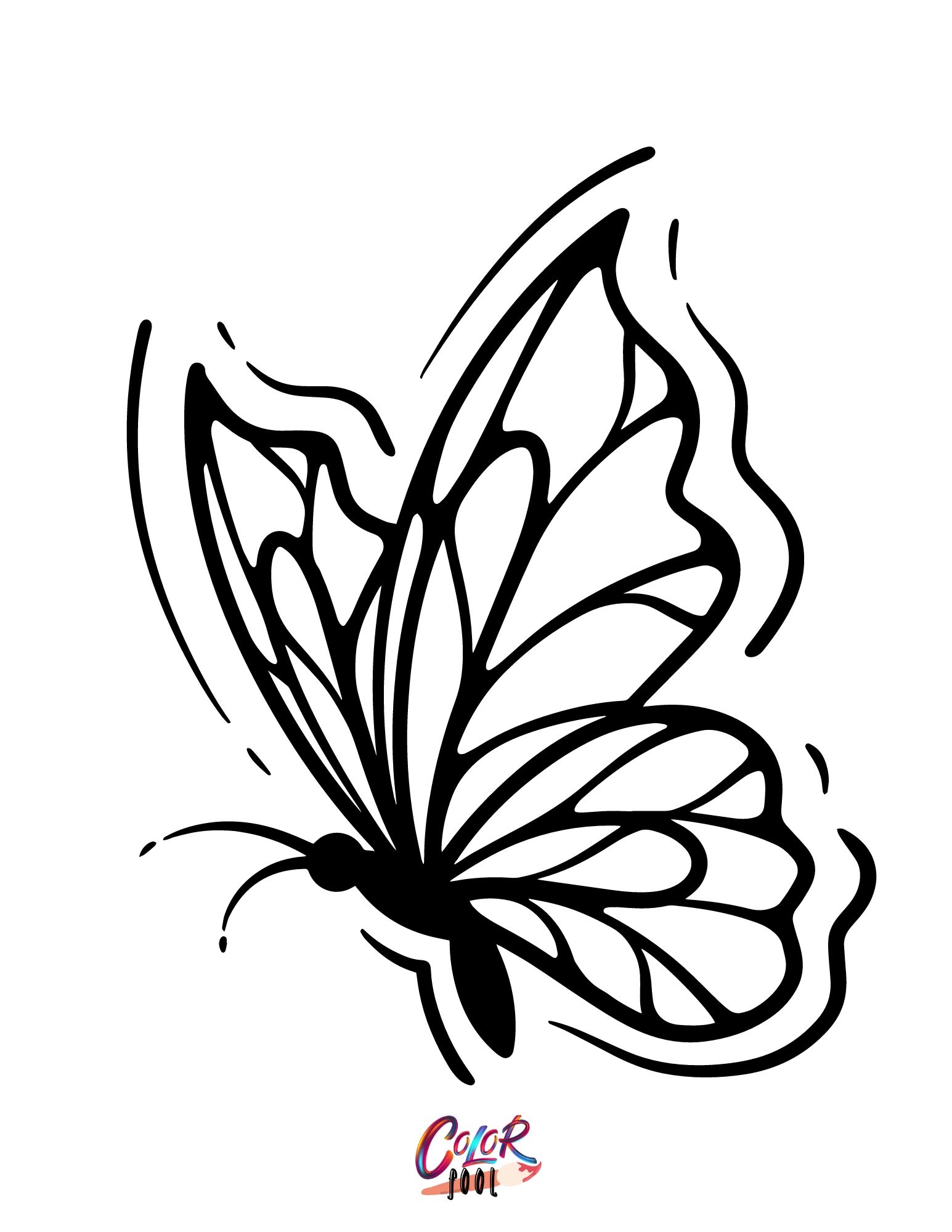 Coloring pages butterfly