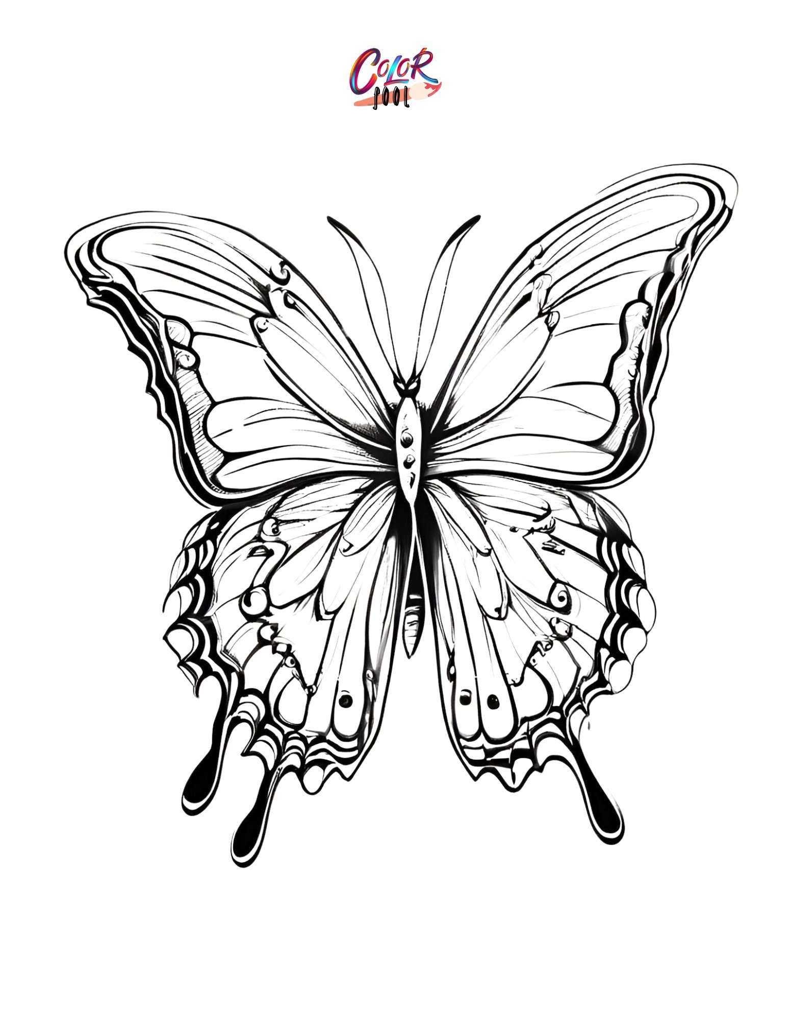 Butterfly coloring