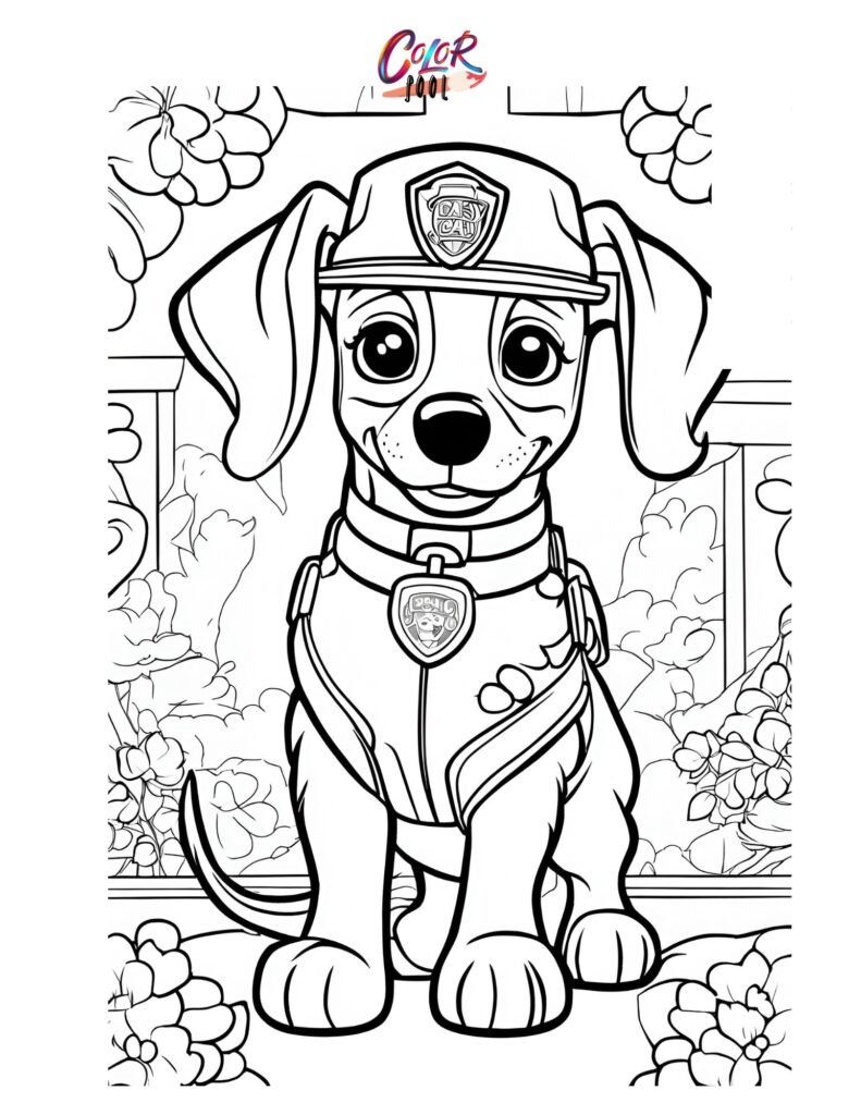 Colouring in paw patrol