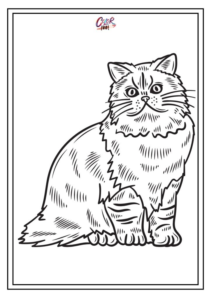 easy cat coloring pages