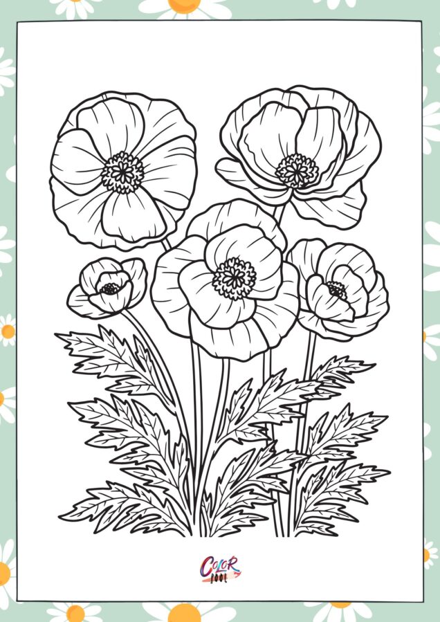 Marigold flower illustration for art