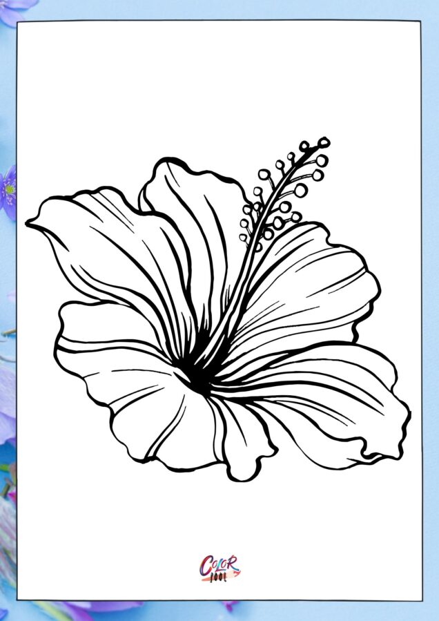 Black and white tulip drawing for coloring flower