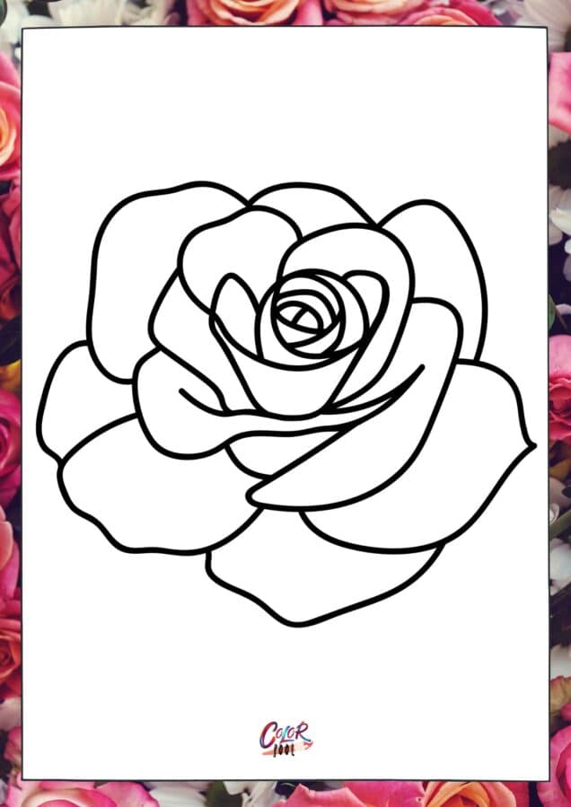 flower coloring pages of a big rose