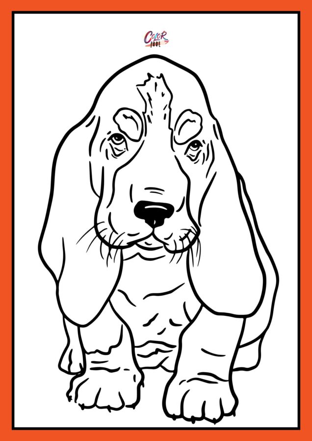 dog images coloring pages