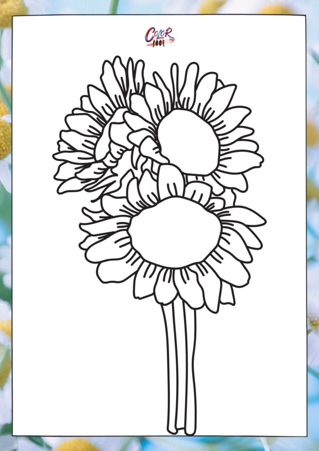 flower coloring pages of three big sunflowers