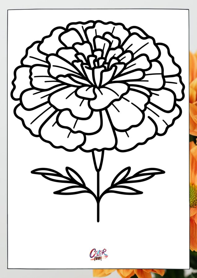 Big flower pages for coloring with thick outlines