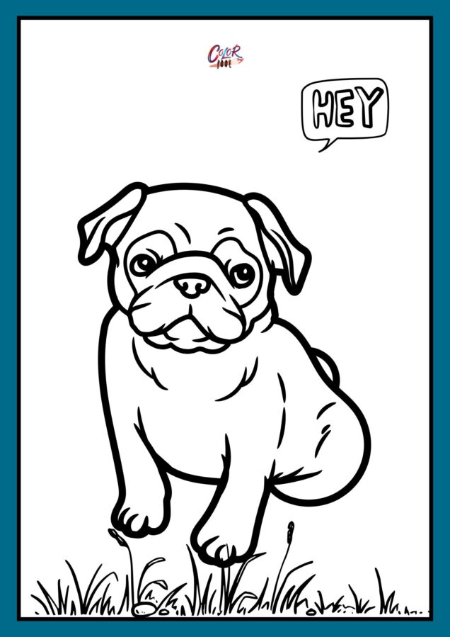 adult coloring pages dog pug printables