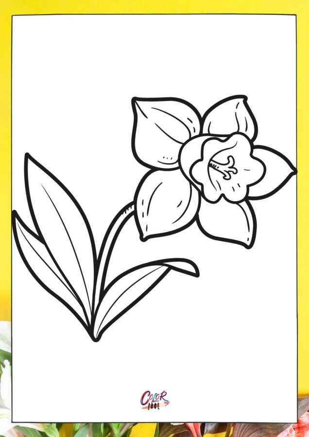 Coloring page of a flower with long petals and stem