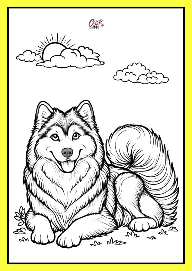 husky dog coloring pages sitting in the garden under the sun