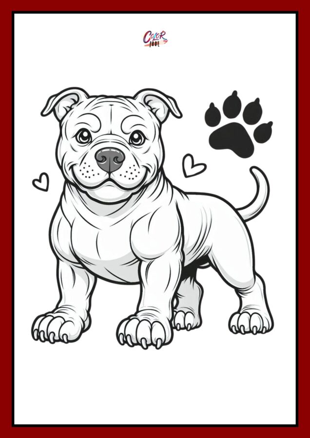 Pitbull dog coloring pages standing and looking aggressively
