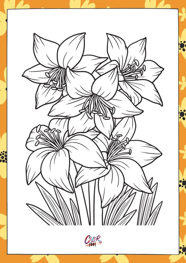 Large petals with soft curves for coloring